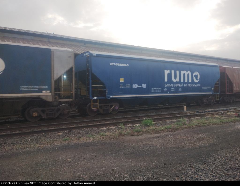 RUMO HTT-352966-5
